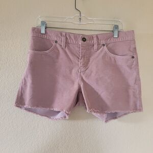 Carve Designs Pink Women Shorts